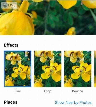 Ako pridať efekty do živých fotografií na iPhone