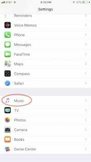 Selectați muzica din setări pe iPhone.