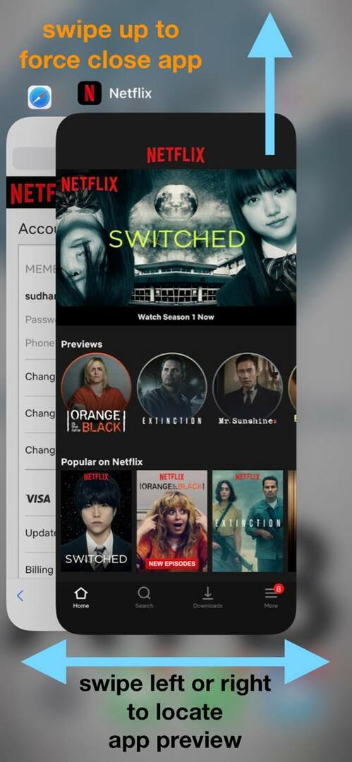 Netflix-App funktioniert nicht auf iPad oder iPhone – Lass es uns reparieren!