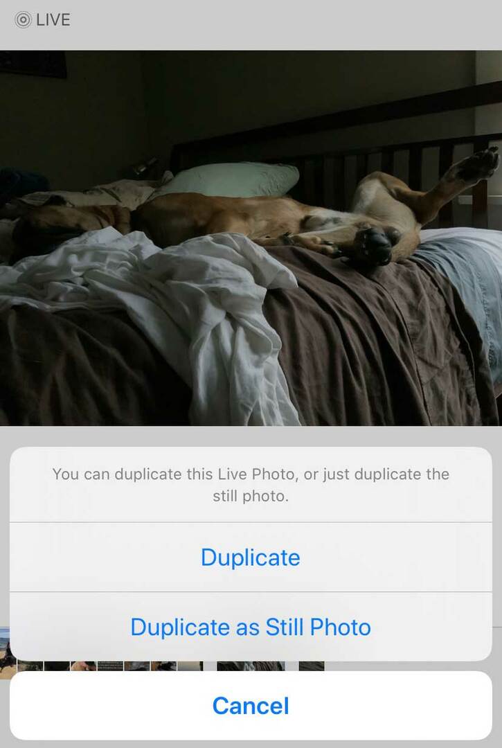 Kuvat-sovelluksen päällekkäisasetukset Live Photosille