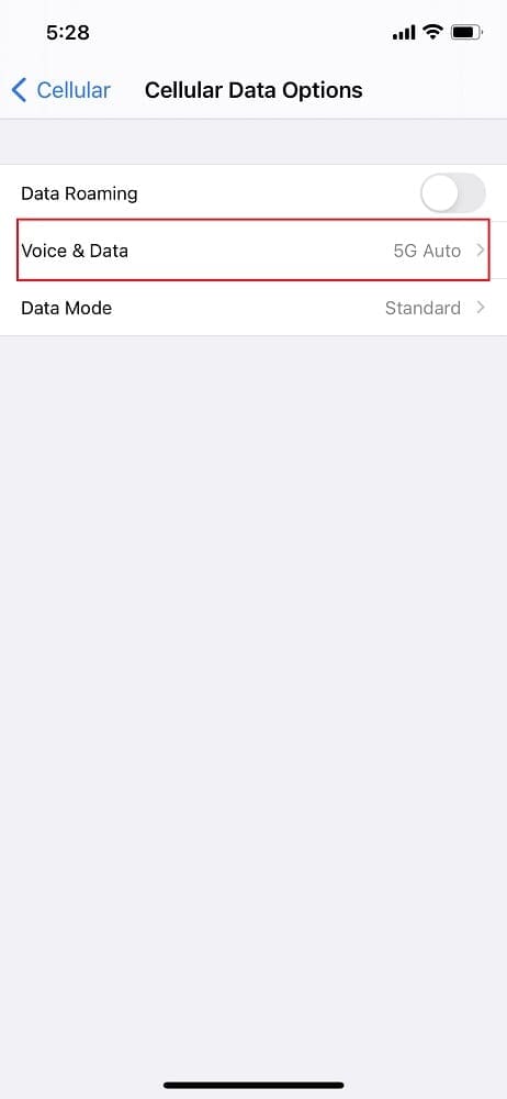 iPhone 12에서 5G 비활성화 (3)