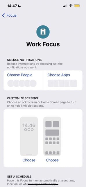 Képernyőkép, amely azt az oldalt mutatja, amelyen személyre szabhatja a Work Focus módot iOS rendszeren