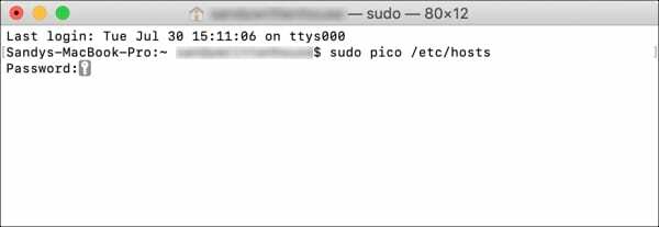 Geben Sie die Hosts-Datei in Terminal ein