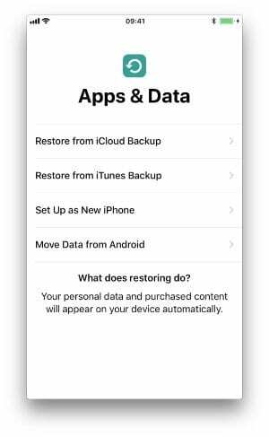 Screenshot von einem iPhone-Setup-Bildschirm mit den Backup-Wiederherstellungsoptionen
