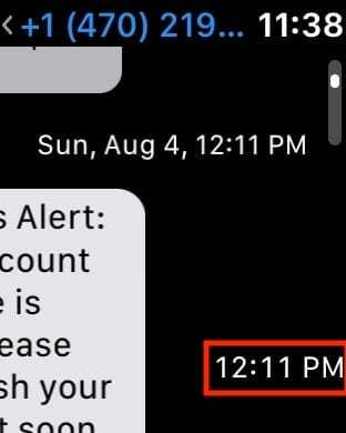 Datum und Uhrzeit des Eingangs der Nachricht auf der Apple Watch