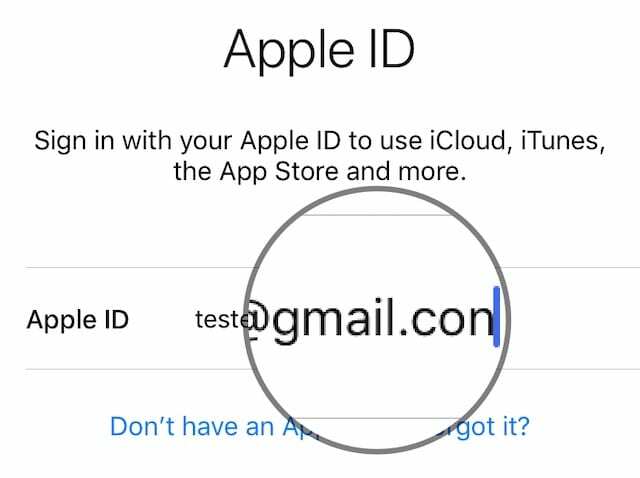 Literówka w adresie e-mail Apple ID