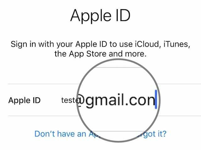 Apple kimliği e-posta adresinde yazım hatası