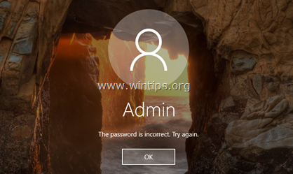 Passwort in Windows 1087Vista zurücksetzen