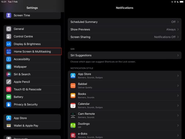 Screenshot, der den Startbildschirm und den Multitasking-Bereich auf dem iPad zeigt