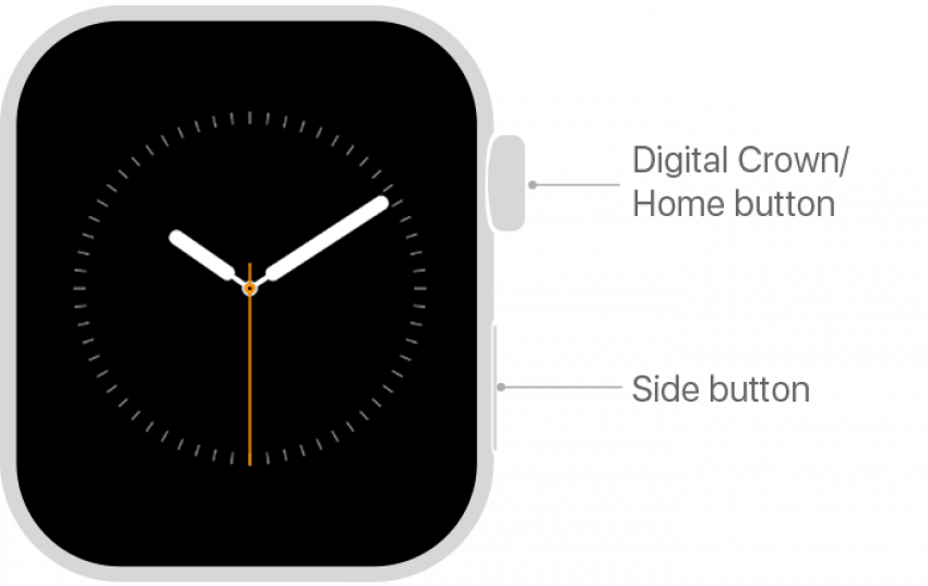 Nospiediet sākuma pogu uz sava Apple Watch — Apple atbalsta attēla