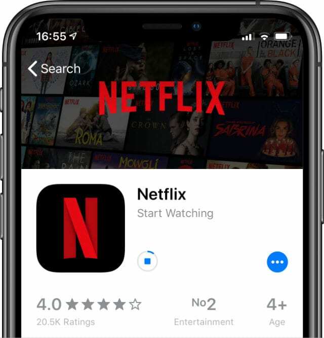 Descarga de la aplicación Netflix desde App Store en iPhone X