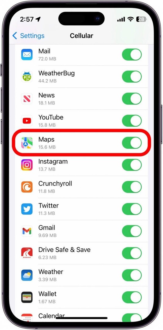 Assicurati che l'interruttore per Maps sia verde e posizionato a destra.