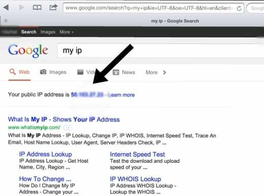 Google IP'si