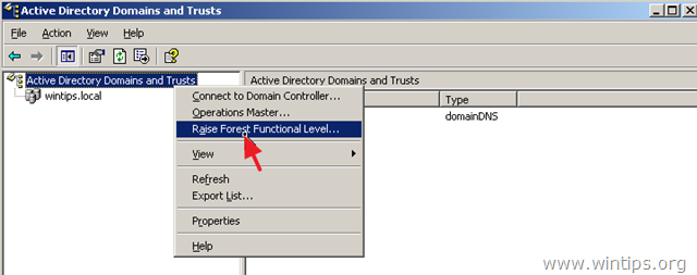 server tingkat fungsional raiseforest 2003