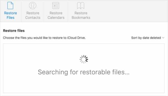 Ricerca di file ripristinabili sul sito Web iCloud