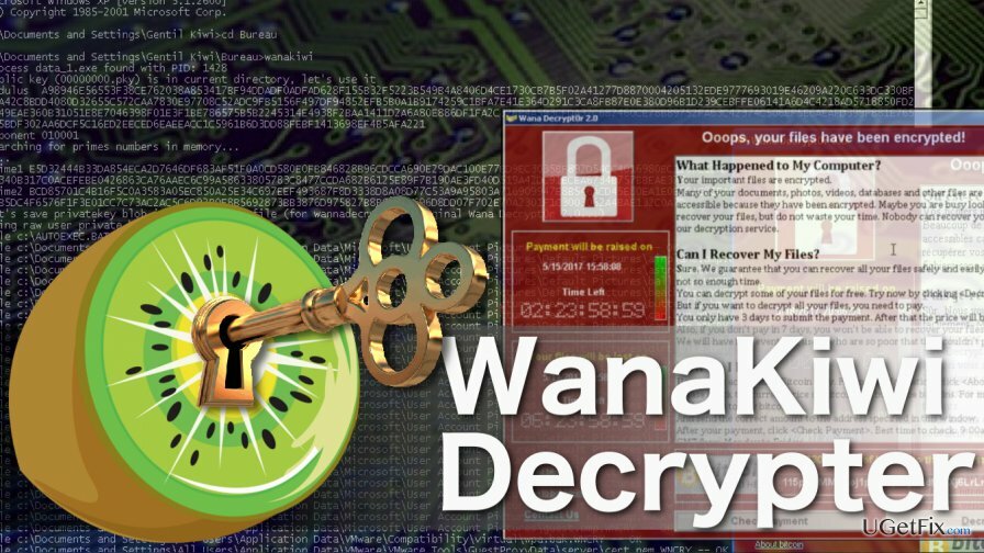 كيفية استخدام Wanakiwi ديكريبتر؟