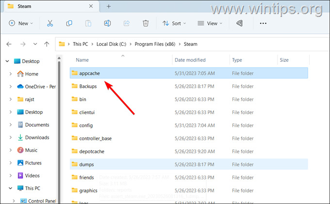OPRAVA: STEAM se ve Windows 1110 neotevře