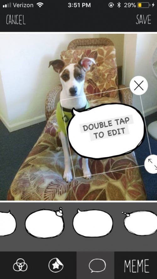 التطبيق النهائي لصور الكلاب: BarkCam