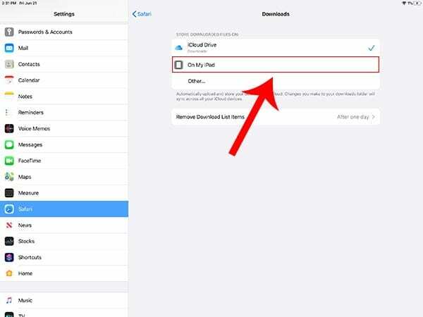 iPadOS-filer - Download Manager