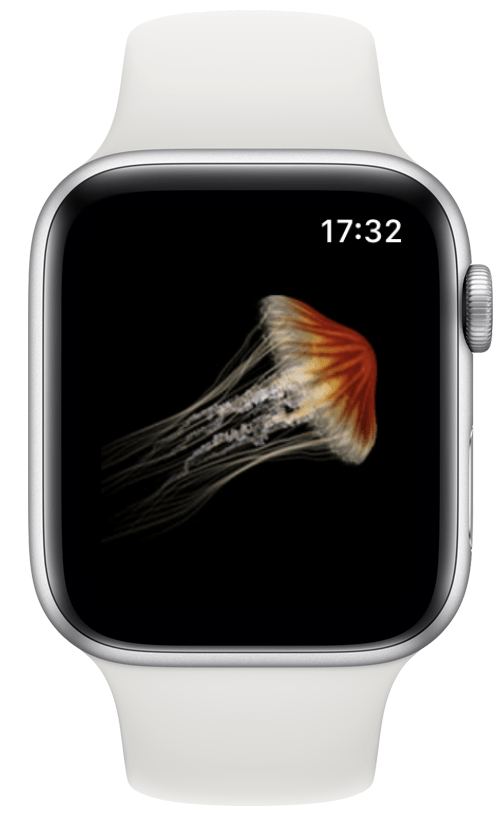 Hra na klepnutie medúzy na hodinkách Apple Watch