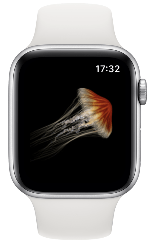 Jogo Jellyfish Tap no Apple Watch