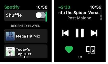 Spotify Apple Watch