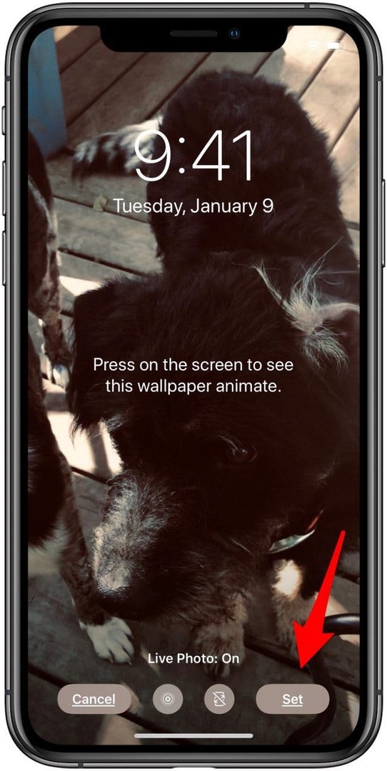 Tippen Sie auf Set, um das Live-Foto als Hintergrundbild festzulegen