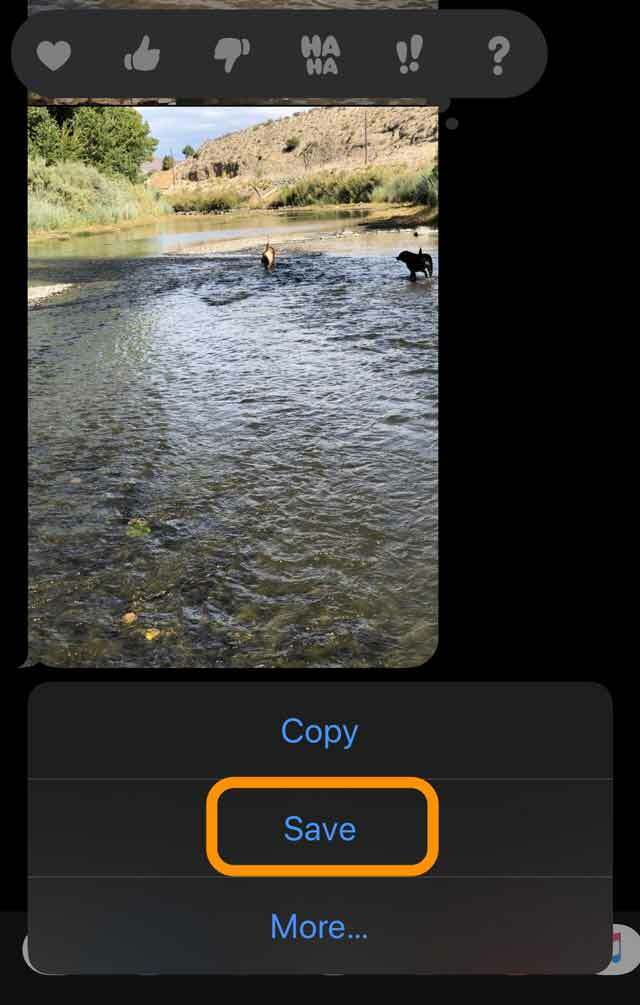 guardar una foto de la aplicación de mensajes en iOS 13 e IPadOS
