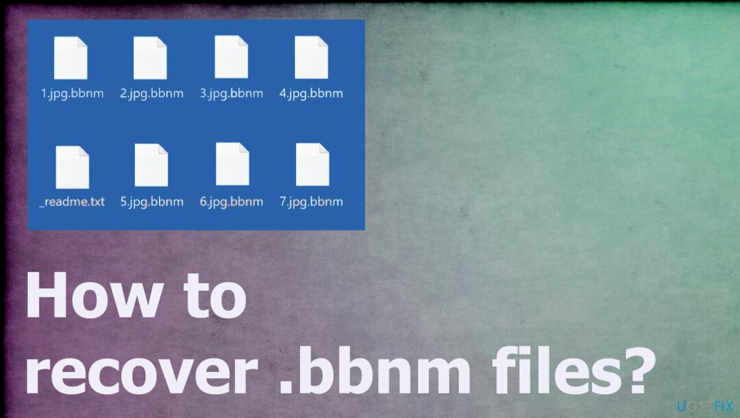 Wiederherstellung von BBNM-Dateien